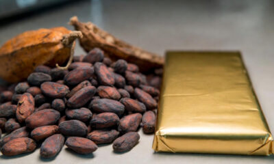 Pile of raw cocoa beans next to a wrapped chocolate bar, illustrating the value-added processing gap.