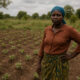 African woman farmer standing on a small subsistence plot, symbolizing the challenges of smallholder farming and the need for modern, scalable agriculture.