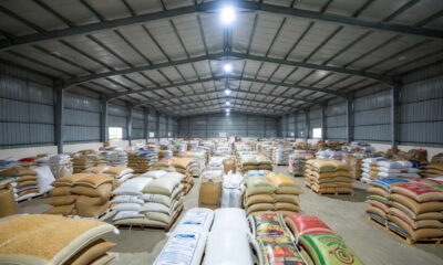 Warehouse filled with surplus rice, maize, and soybeans in Ghana highlighting the grain surplus crisis and food insecurity challenges.