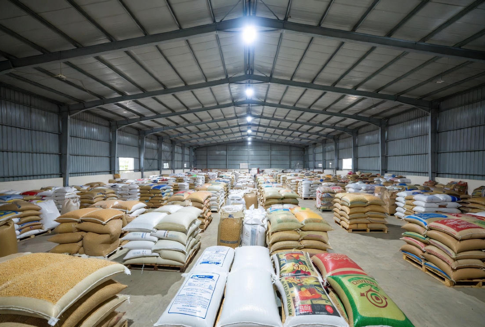 Warehouse filled with surplus rice, maize, and soybeans in Ghana highlighting the grain surplus crisis and food insecurity challenges.
