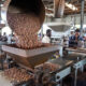 Cocoa beans being processed in a Ghanaian factory for value-added export.