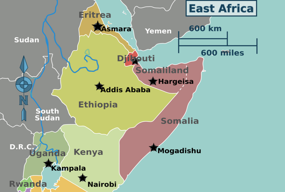 Somaliland's Recognition Gambit: A Test Case for African Sovereignty