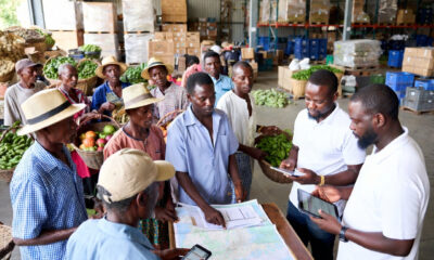 Smallholder farmers and agricultural aggregators coordinating produce collection and logistics within a modern agricultural supply chain.