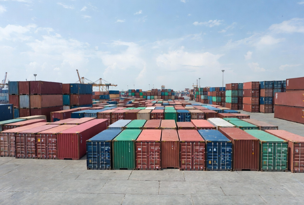 China's Zero-Tariff Policy for Africa: Opportunity or Dependency Trap?