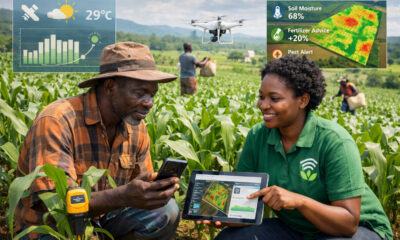 AI-powered tools helping African smallholder farmers monitor crops, optimize inputs, and boost yields through precision agriculture and mobile-based advisory services.