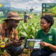 AI-powered tools helping African smallholder farmers monitor crops, optimize inputs, and boost yields through precision agriculture and mobile-based advisory services.