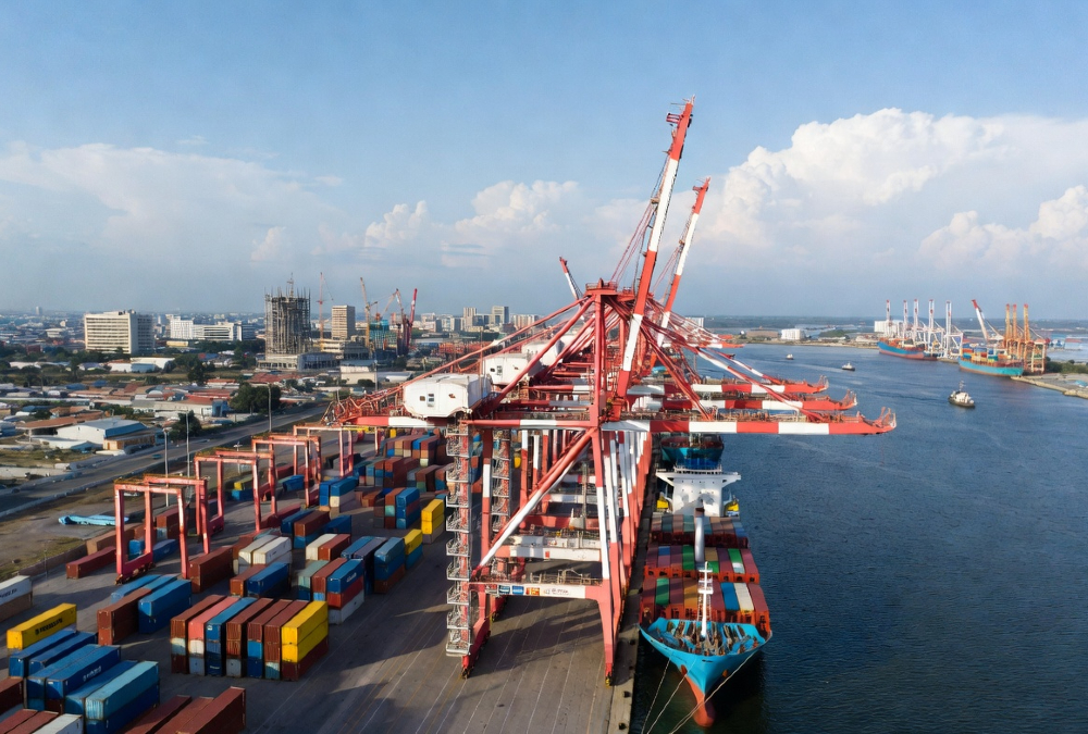 African port with cargo cranes and ships illustrating Chinese investment transforming global trade infrastructure.