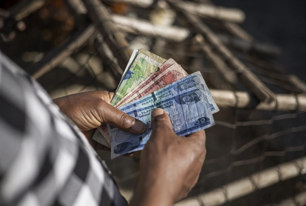 Africa's Banking Giants: A Tale of Two Economies