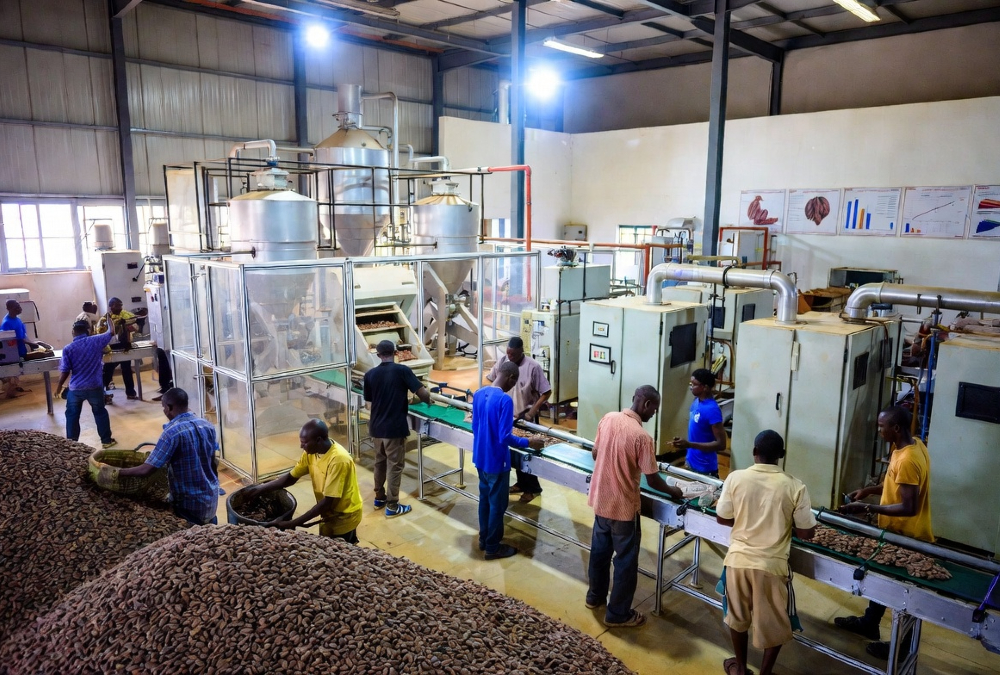 African cocoa farmers and processors transforming raw beans into value-added products like cocoa butter and chocolate bars at a modern facility in West Africa.