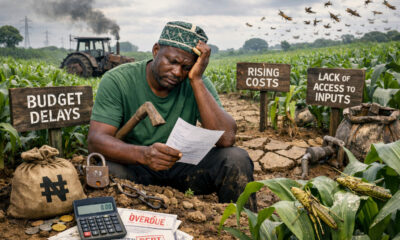 Nigerian farmer in field representing agricultural budget implementation challenges