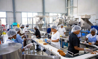 Young African workers in modern factory symbolizing demographic dividend and employment opportunities