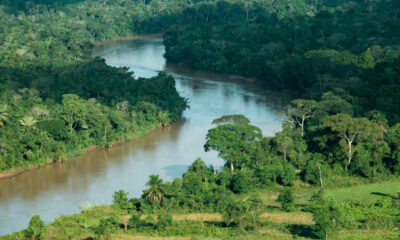 Aerial view of the Congo River flowing through dense rainforest in the Democratic Republic of Congo