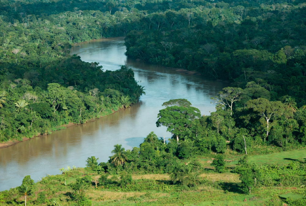 Aerial view of the Congo River flowing through dense rainforest in the Democratic Republic of Congo