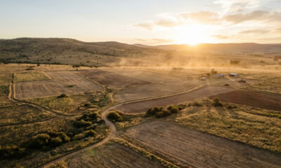 Aerial view of vast uncultivated arable farmland in Africa at golden hour, representing agricultural investment opportunity