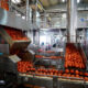 Tomatoes being processed at a Burkina Faso factory as part of the nation's infant industry protection policy for agricultural self-sufficiency.