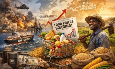 Illustrating Middle East conflict impact on global food inflation, oil supply routes, grain markets, and Africa’s agricultural opportunity.
