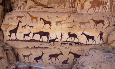 Ancient African rock art depicting animals, rituals, and landscapes, illustrating millennia of ecological knowledge and lessons for modern sustainability.