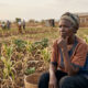 Modern Smallholder farmer in Africa facing agricultural crisis due to top-down government policies and lack of market incentives.