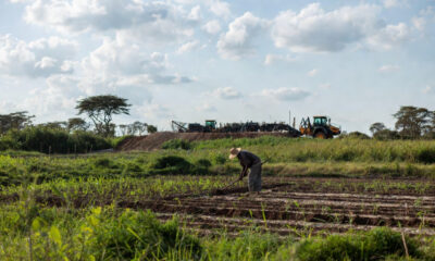Smallholder farmer tending a one-hectare rain-fed plot while expensive project equipment sits unused nearby