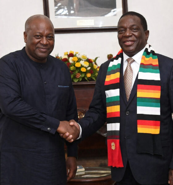 Ghana and Zimbabwe leaders shaking hands during state visit symbolizing bilateral trade partnership in Africa
