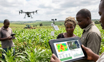 African farmers using artificial intelligence tools and data-driven technology to improve crop yields, predict weather patterns, and modernize agriculture across the continent amid rising food demand and climate challenges.