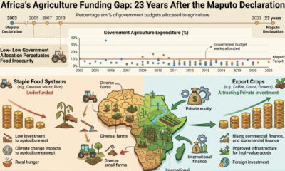Please generate a realistic image of dimensions 1536 by 1024 from the following theme: Infographic showing Africa's agriculture funding gap: 23 years after the Maputo Declaration, most governments still allocate less than 10% of budgets to agriculture, leaving staple food systems underfunded while export crops attract private investment.