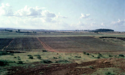 African farmland showing vast agricultural land and uncultivated arable areas with potential for global food production