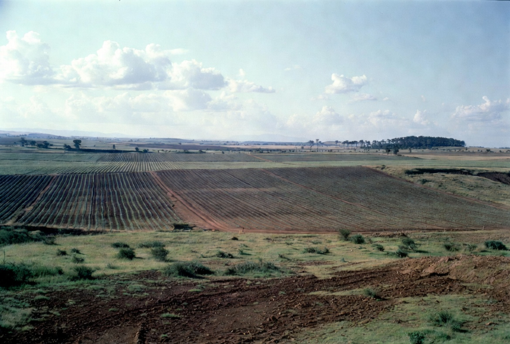 African farmland showing vast agricultural land and uncultivated arable areas with potential for global food production