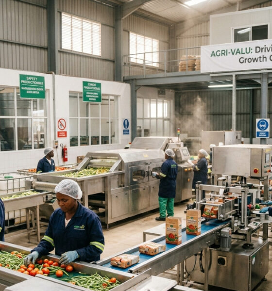 Modern agri-processing facility in East Africa representing agricultural modernization and value-chain development in the growth corridor