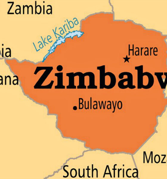 Zimbabwe lithium sulfate shipment milestone in local mineral processing