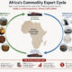 Diagram illustrating Africa's commodity export cycle — raw materials leaving the continent and returning as high-value finished goods, highlighting value chain exclusion and the trade finance gap.