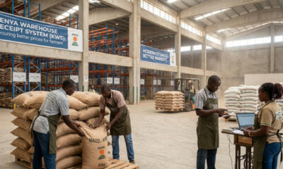 Farmers storing maize in a modern warehouse under Kenya's Warehouse Receipt System to secure better market prices