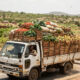 Unrefrigerated produce transport on rural African road highlighting cold chain gaps driving post-harvest food losses Africa