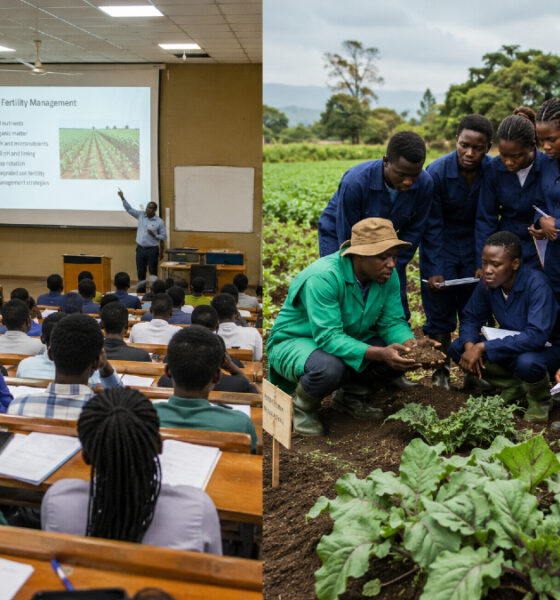 Side-by-side comparison: African agri-students in lecture hall versus hands-on field training with crops and soil, illustrating the theory-practice gap