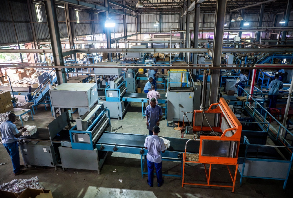 Uganda factory workers processing raw materials into finished goods
