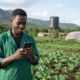 A young African agripreneur using a smartphone in a thriving rural farm, symbolizing digitally connected rural economic development in Africa.