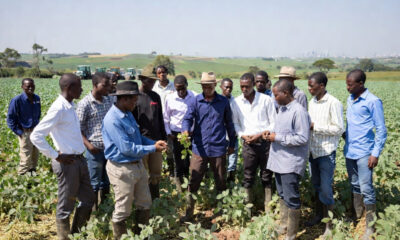 African farmers learning sustainable agriculture practices in Brazil, soybean production growth, no-till farming systems, and global agricultural collaboration in São Paulo