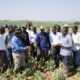 African farmers learning sustainable agriculture practices in Brazil, soybean production growth, no-till farming systems, and global agricultural collaboration in São Paulo