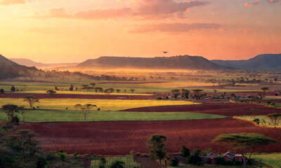 A vast African farmland landscape at sunrise, representing the continent's untapped agricultural potential and the urgent need for modern farming technology and precision agriculture investment.