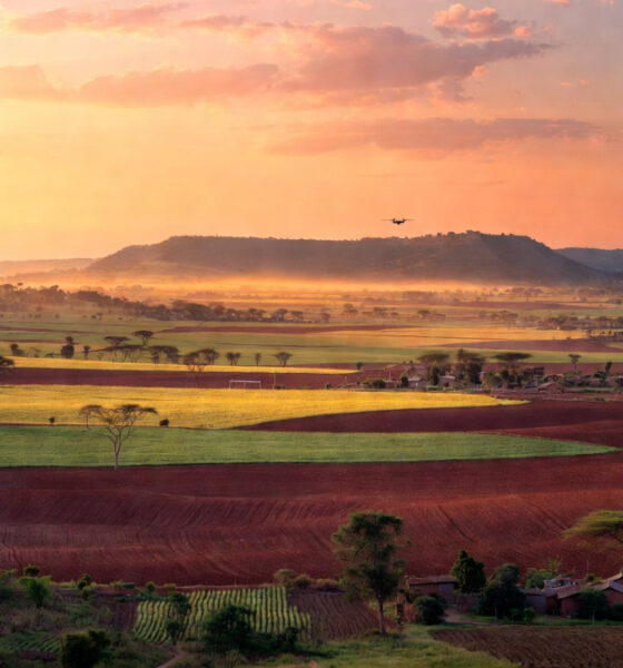A vast African farmland landscape at sunrise, representing the continent's untapped agricultural potential and the urgent need for modern farming technology and precision agriculture investment.