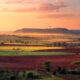 A vast African farmland landscape at sunrise, representing the continent's untapped agricultural potential and the urgent need for modern farming technology and precision agriculture investment.