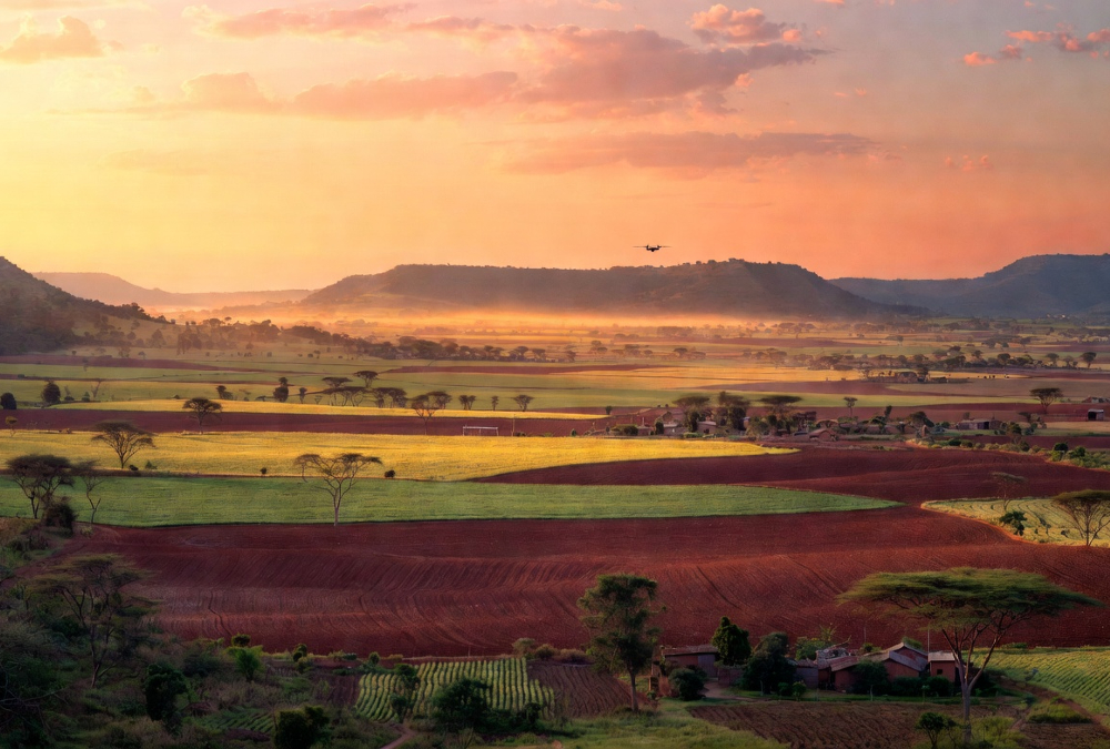 A vast African farmland landscape at sunrise, representing the continent's untapped agricultural potential and the urgent need for modern farming technology and precision agriculture investment.