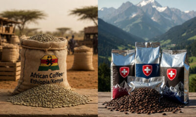 Raw green coffee beans exported from Africa versus roasted packaged coffee from Switzerland