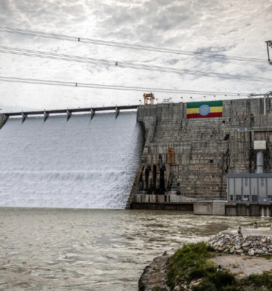 The Ethiopian diaspora exemplifies what African diaspora investment protection can achieve - channeling cross-border capital and collective will into transformative national infrastructure like the Grand Ethiopian Renaissance Dam.