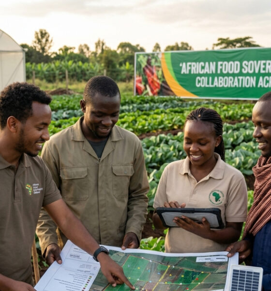 Young African agribusiness professionals collaborating on food sovereignty solutions across borders