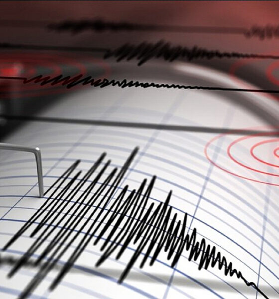 A 3.9-magnitude Jamaica earthquake struck near Kingston on Sunday, shaking several parishes but causing no reported damage or injuries.