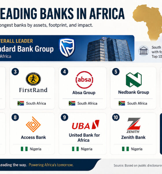 Infographic of the ten leading banks in Africa led by South Africa's Standard Bank Group