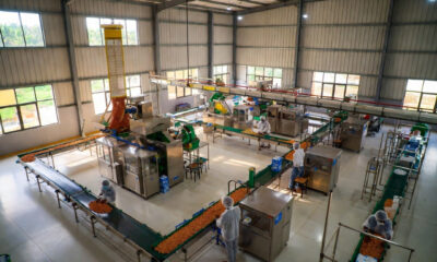 Modern cashew processing plant in Ghana illustrating the need for tailored African agribusiness finance and patient capital.