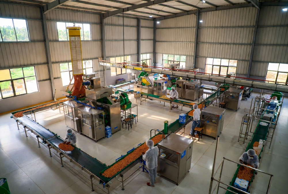 Modern cashew processing plant in Ghana illustrating the need for tailored African agribusiness finance and patient capital.