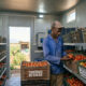 African farmer inspecting tomatoes inside a solar cold room, extending shelf life and improving market bargaining power
